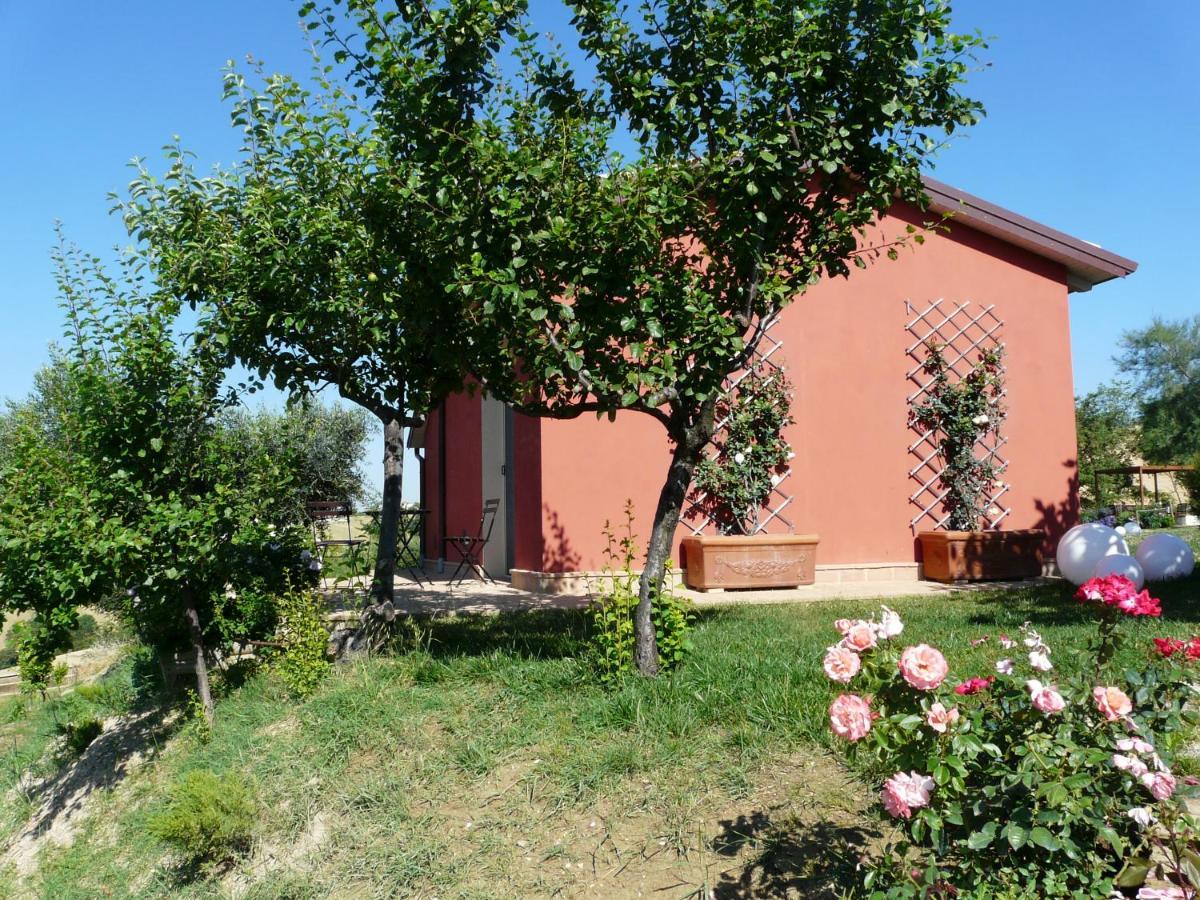 L'Antigo Granaro Guest House Agugliano Ngoại thất bức ảnh